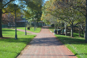 outdoor walkway on college campus with trees and grass on both sides