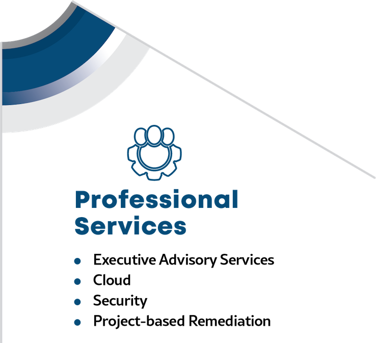Professional Services visualization