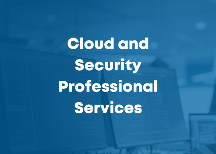 Computer monitors with blue overlay and Cloud and Security Professional Services