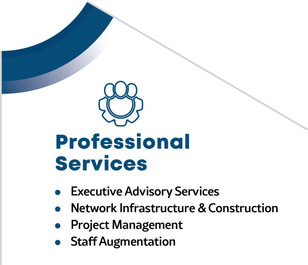 Professional Services portfolio graphic